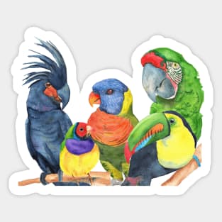 parrots bird watercolor toucan finch lory, cockatoo, macaw Sticker